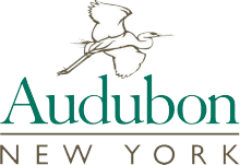 New York Audubon Society